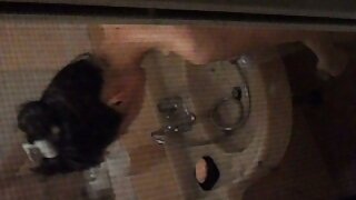 Video Dominating The Boss (Monique Alexander, Sondra Hall) - 2022-02-19 11:16:54